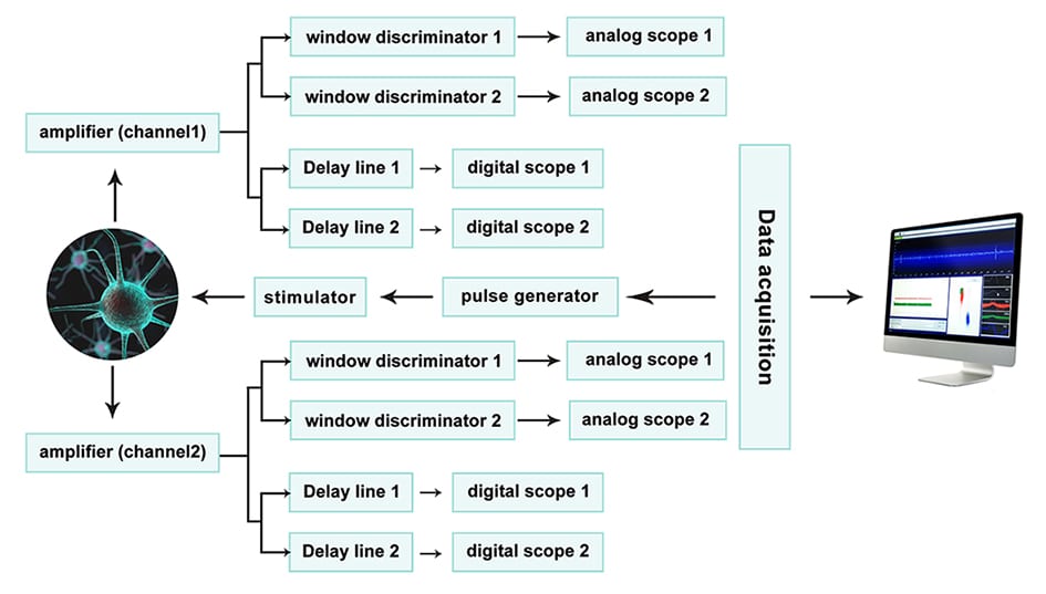 graph_elab