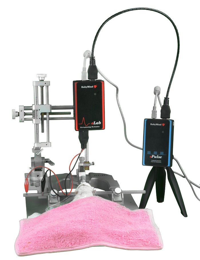 elab ewave sciencebeam animal electrophysiology