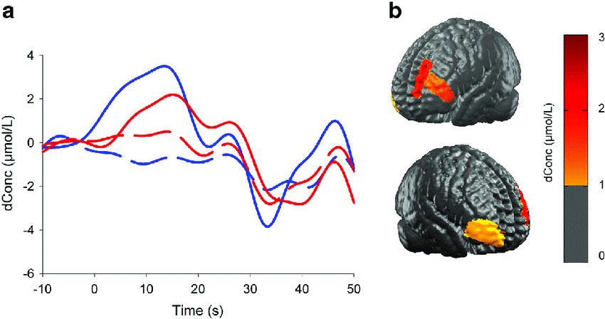 ERP event related potential fnirs 128 channel human electrophysiologyEEG ERP for research BCI