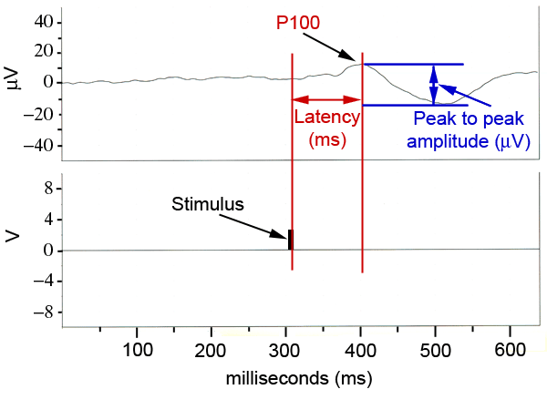 elab animal electrophysiology