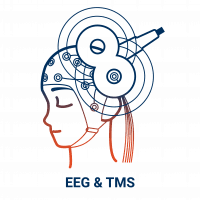 eeg with tms